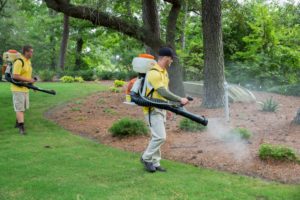 Image of Mosquito Joe technician spraying for mosquitoes